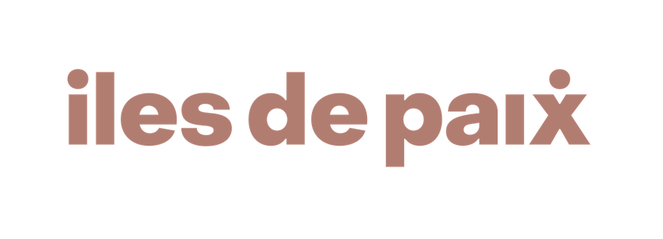 IDP Logo 1line Terre