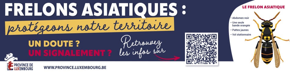2026 Campagne frelon signature mail