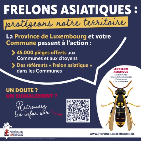 Illustration de l'actualité - cliquer pour agrandir