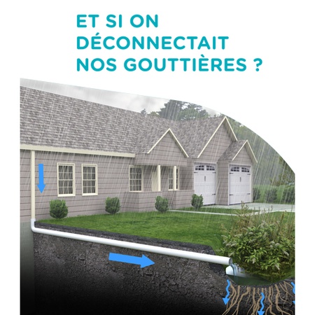 Illustration de l'actualité - cliquer pour agrandir