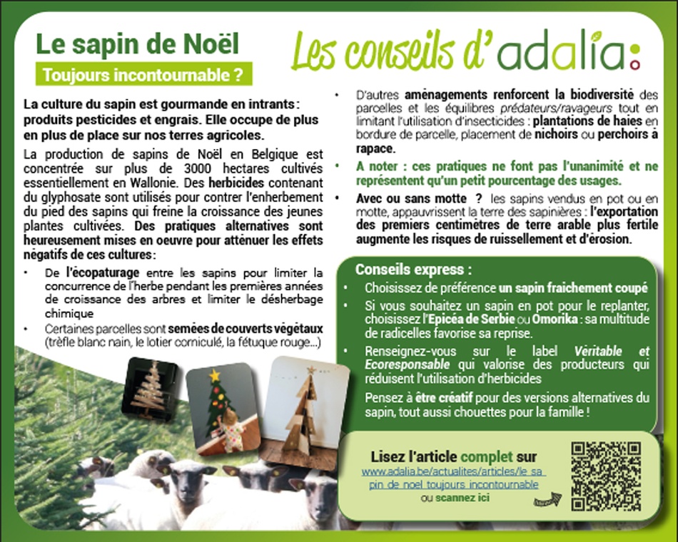EncartBC grand sapins