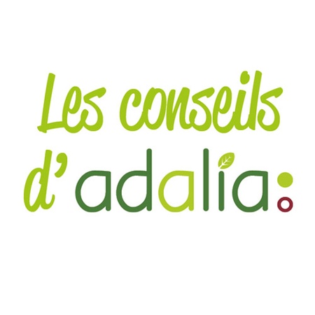 Illustration de l'actualité - cliquer pour agrandir