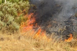 Nouvel arrêté du Gouverneur de la province du Luxembourg concernant le risque d'incendie