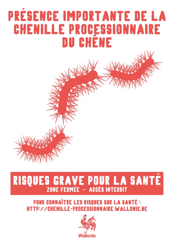 affiche chenille