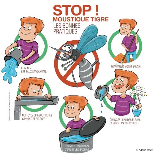 affiche moustique tigre.jpg