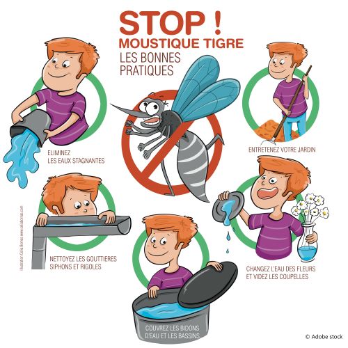 affiche moustique tigre.jpg