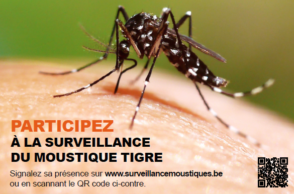 moustique qrcode