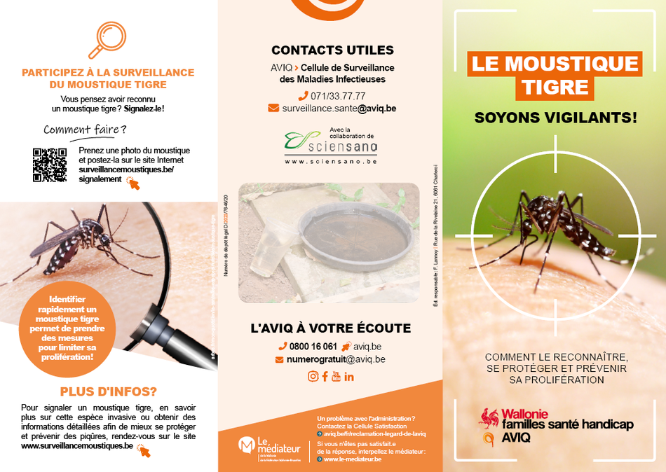 signaler moustique.PNG