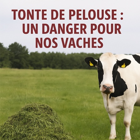 Illustration de l'actualité - cliquer pour agrandir