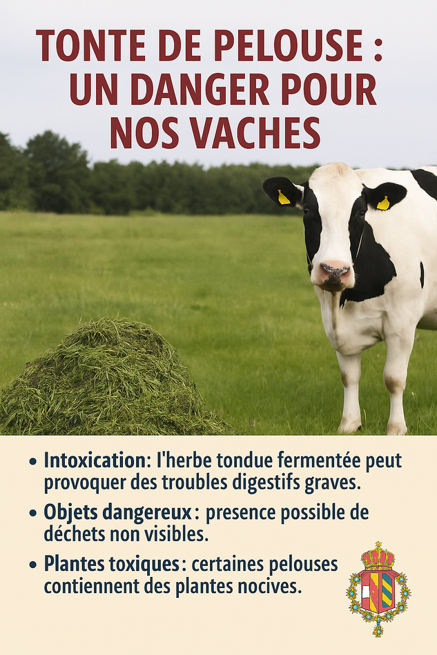 affiche site vache tonte