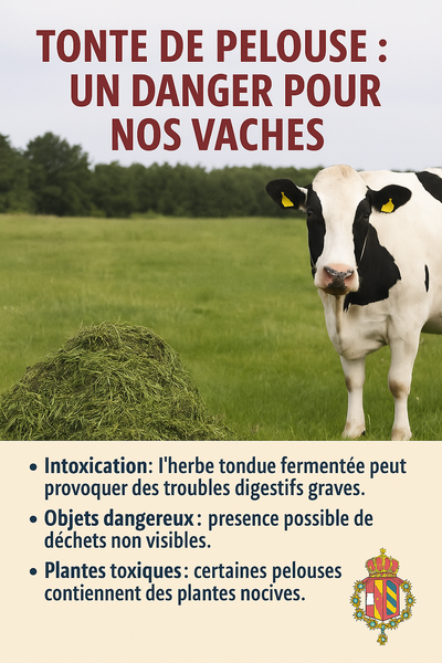 affiche site vache tonte