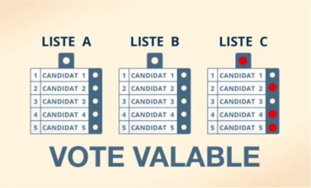 vote tete liste et candidats